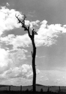 Deserto